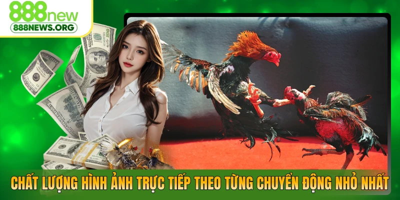 Chất lượng hình ảnh trực tiếp theo từng chuyển động nhỏ nhất