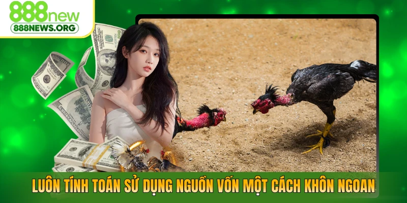 Luôn tính toán sử dụng nguồn vốn một cách khôn ngoan